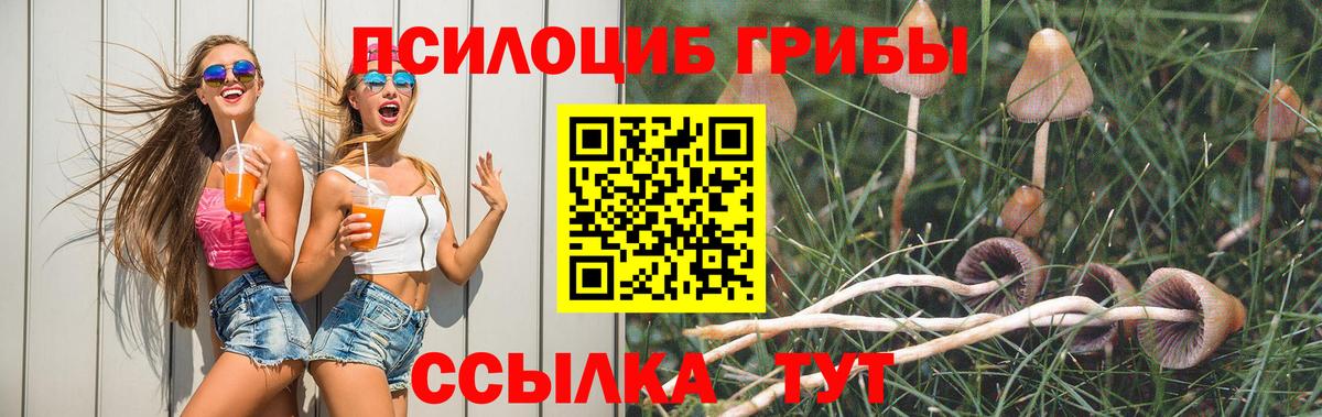 Псилоцибиновые грибы ЛСД Еманжелинск