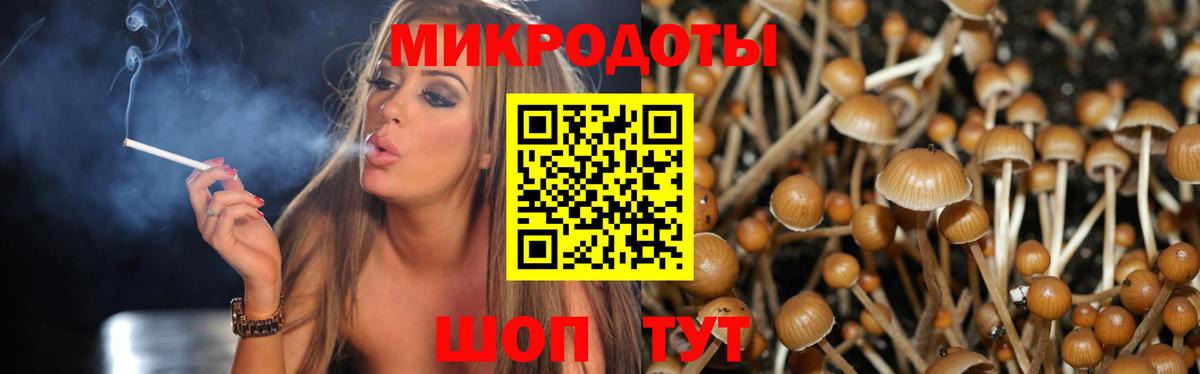 Еманжелинск  где найти   Вход с VPN  Галлюциногенные грибы Psilocybe 